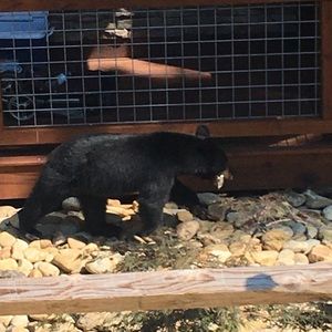 Meet your Posher, Jeffrey